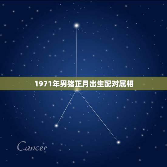 1971年男猪正月出生配对属相，1971年属猪的人和什么属相相配
