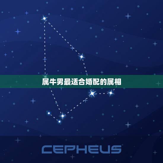 属牛男最适合婚配的属相,属牛生肖配偶与谁最合适 属牛男最适合婚配的属相,属牛生肖配偶与谁最合适