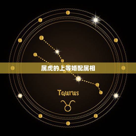 属虎的上等婚配属相，属虎的和什么属相最配相克