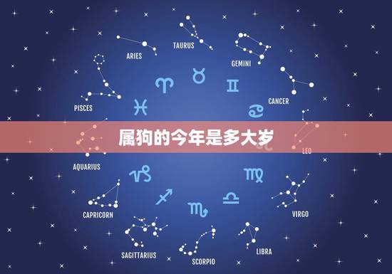 属狗的今年是多大岁,属狗的今年多大 属狗的今年是多大岁,属狗的今年多大