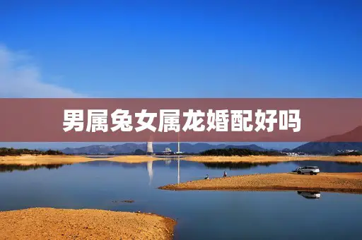 男属兔女属龙婚配好吗 男属兔女属龙婚配好吗
