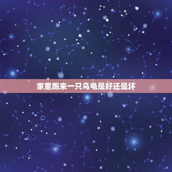 家里跑来一只乌龟是好还是坏，家里进了一只乌龟好不好？