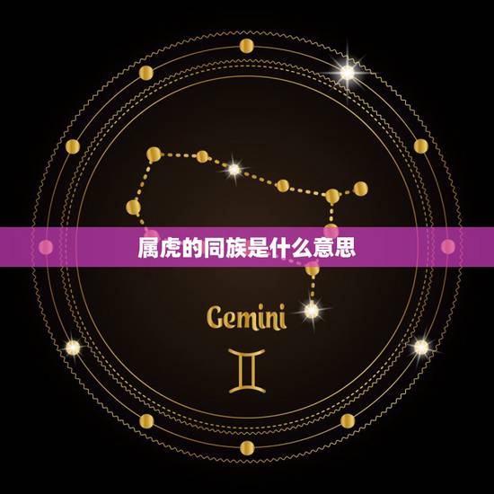 属虎的同族是什么意思，我是属虎的，想问开运位是什么意思？