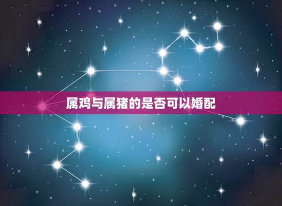属鸡与属猪的是否可以婚配，属鸡和属猪相配会幸福吗