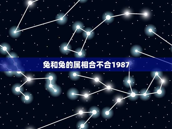 兔和兔的属相合不合1987，1987年属兔的更佳配偶