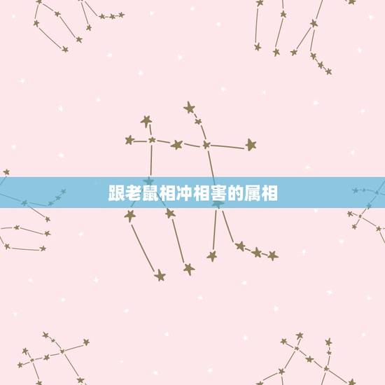 跟老鼠相冲相害的属相，属鼠的和什么属相不合