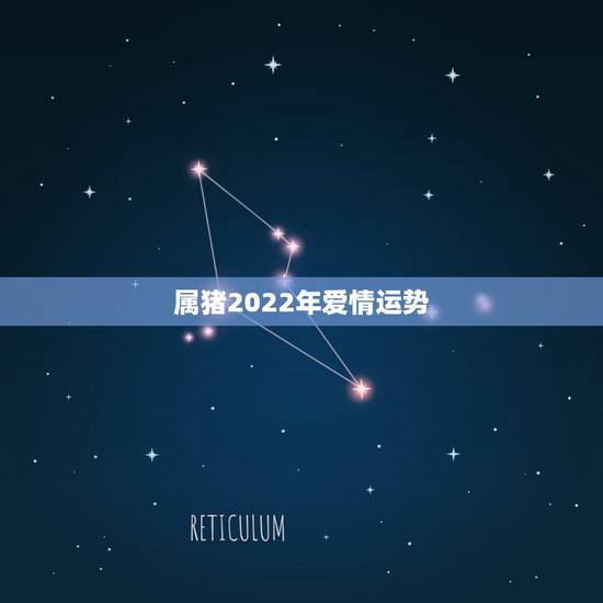 属猪2022年爱情运势,2022年运势最好的生肖 属猪2022年爱情运势,2022年运势最好的生肖