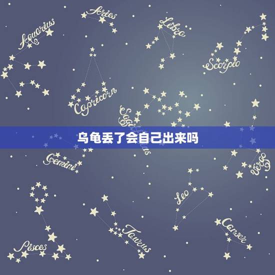 乌龟丢了会自己出来吗，乌龟在家跑丢了怎么才能让他出来