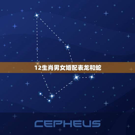 12生肖男女婚配表龙和蛇,属蛇的和什么属相最相配 12属相婚配表 12生肖男女婚配表龙和蛇,属蛇的和什么属相最相配 12属相婚配表