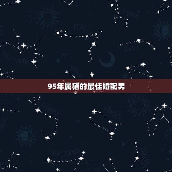 95年属猪的最佳婚配男,95年属猪最佳婚配属相 95年属猪的最佳婚配男,95年属猪最佳婚配属相