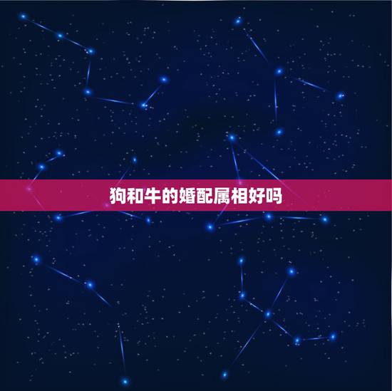 狗和牛的婚配属相好吗，属狗的和属牛的婚姻配吗