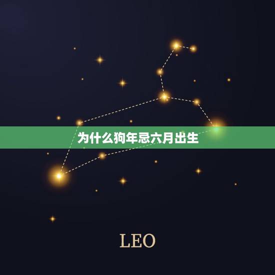 为什么狗年忌六月出生,属狗的命运好不好 为什么狗年忌六月出生,属狗的命运好不好