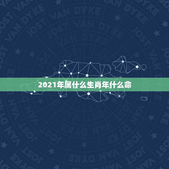 2021年属什么生肖年什么命，2021属什么生肖，2021是什么生肖年
