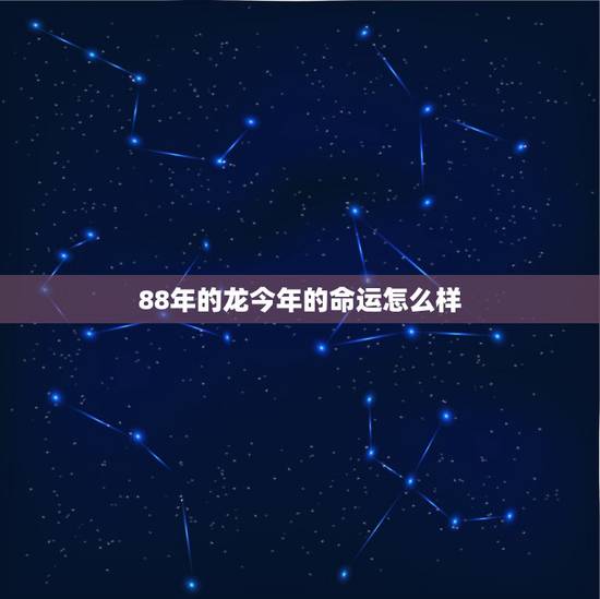 88年的龙今年的命运怎么样,1988年的属龙的女的,2023年的事业怎 88年的龙今年的命运怎么样,1988年的属龙的女的,2023年的事业怎
