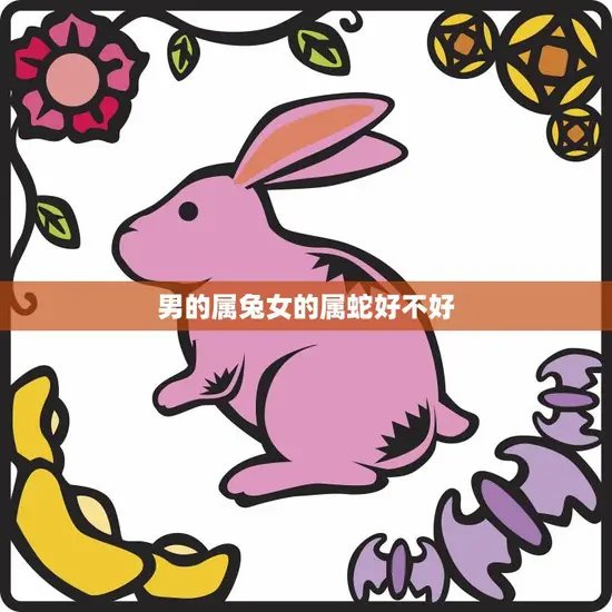 男的属兔女的属蛇好不好(如何看待这种组合)