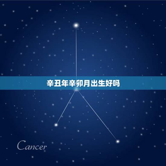 辛丑年辛卯月出生好吗,辛丑年癸巳月哪天出生好 辛丑年辛卯月出生好吗,辛丑年癸巳月哪天出生好