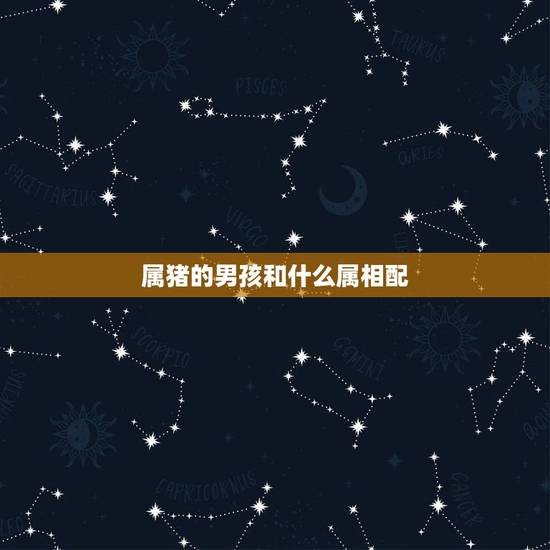 属猪的男孩和什么属相配,属猪的女人和什么属相最配 属猪的男孩和什么属相配,属猪的女人和什么属相最配
