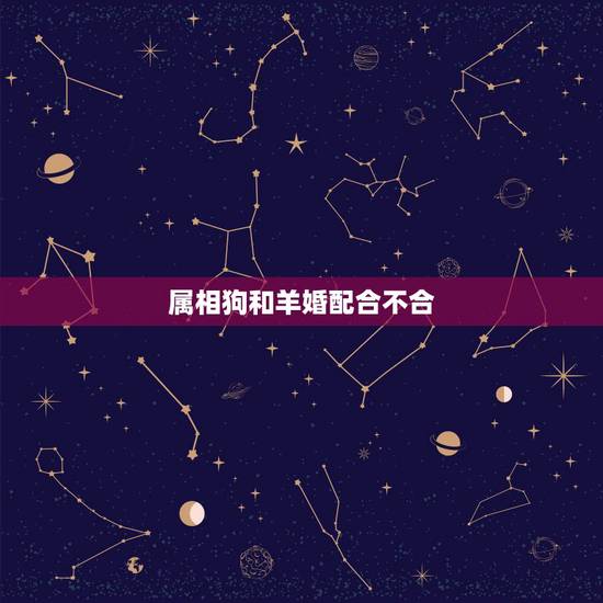 属相狗和羊婚配合不合,生肖狗和生肖羊相配吗 属相狗和羊婚配合不合,生肖狗和生肖羊相配吗