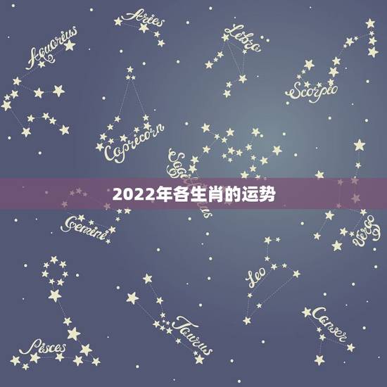 2022年各生肖的运势 测运势2023年运势免费
