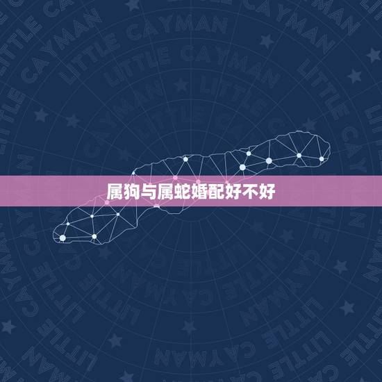 属狗与属蛇婚配好不好,属蛇的男人和属狗的女人结婚会幸福吗? 属狗与属蛇婚配好不好,属蛇的男人和属狗的女人结婚会幸福吗?