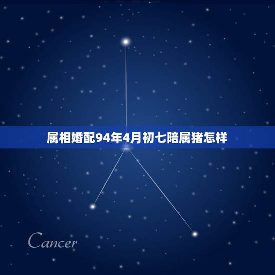 属相婚配94年4月初七陪属猪怎样，94年属狗的和什么属相婚配
