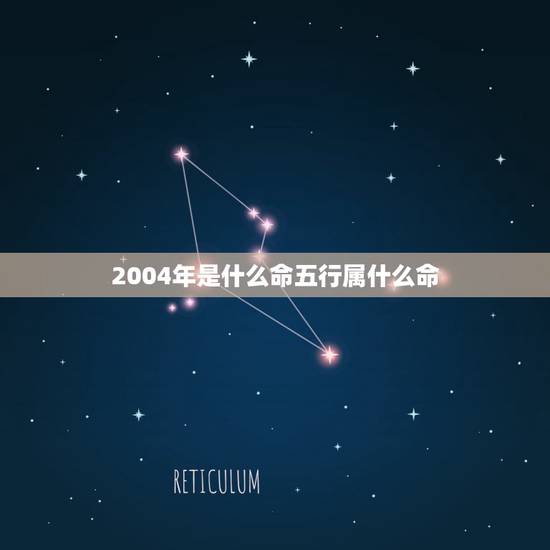 2004年是什么命五行属什么命,2004年属什么生肖五行 2004年是什么命五行属什么命,2004年属什么生肖五行