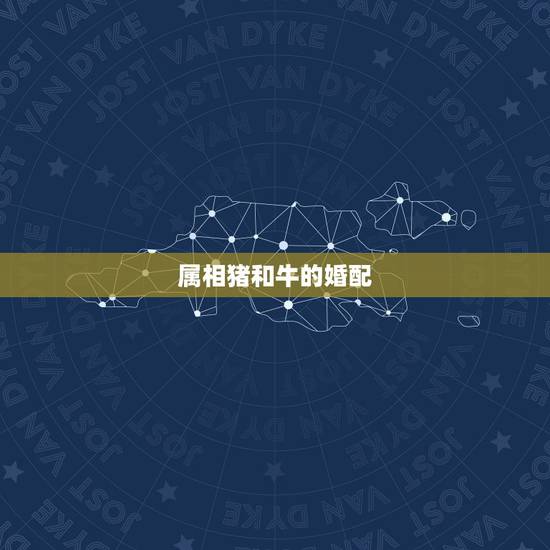 属相猪和牛的婚配，男属猪女属牛相配好吗