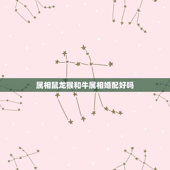 属相鼠龙猴和牛属相婚配好吗，属龙和牛婚配好吗