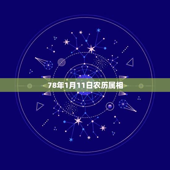 78年1月11日农历属相,78年属马阴历11月11日出生五行缺什么 78年1月11日农历属相,78年属马阴历11月11日出生五行缺什么