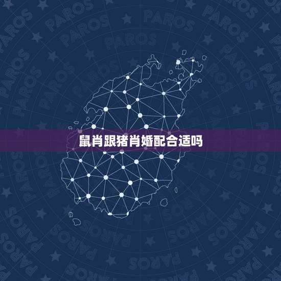 鼠肖跟猪肖婚配合适吗,属鼠与属猪的相配吗 鼠肖跟猪肖婚配合适吗,属鼠与属猪的相配吗