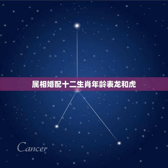 属相婚配十二生肖年龄表龙和虎,属相龙与属相虎相配吗 属相婚配十二生肖年龄表龙和虎,属相龙与属相虎相配吗