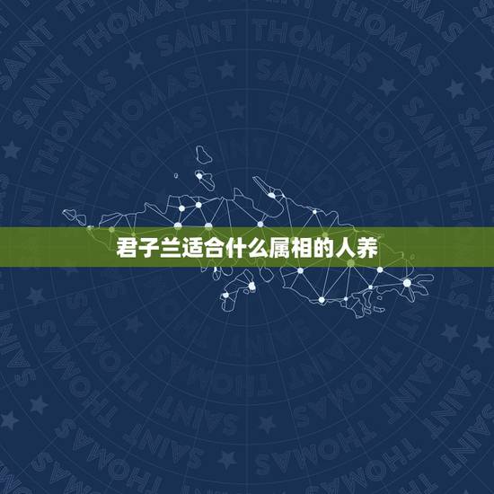君子兰适合什么属相的人养,属羊的人适合养什么花最好 君子兰适合什么属相的人养,属羊的人适合养什么花最好