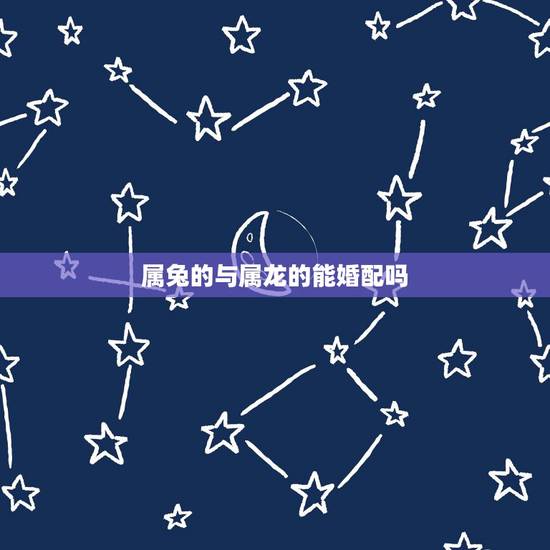 属兔的与属龙的能婚配吗，属龙和属兔能不能相配