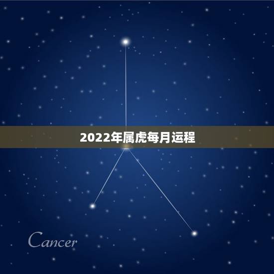 2022年属虎每月运程,2022年运势12生肖运势详解 2022年属虎每月运程,2022年运势12生肖运势详解