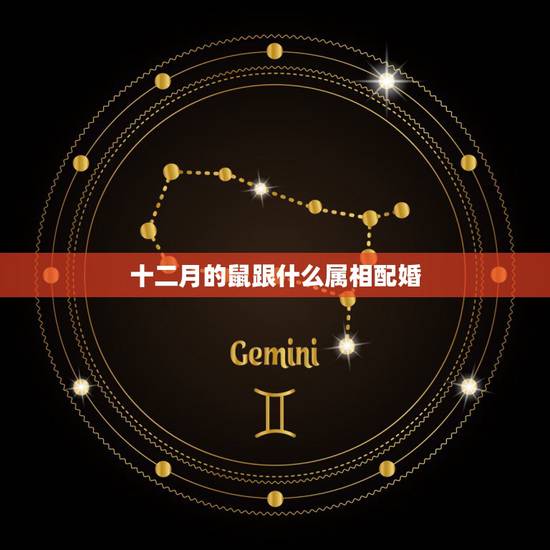 十二月的鼠跟什么属相配婚,属鼠与什么属相相配 十二月的鼠跟什么属相配婚,属鼠与什么属相相配