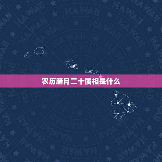 农历腊月二十属相是什么,农历2018年农历腊月二十属相 农历腊月二十属相是什么,农历2018年农历腊月二十属相