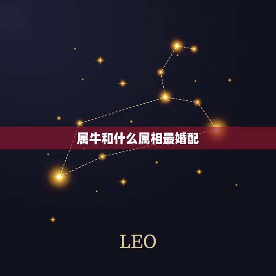 属牛和什么属相最婚配，属牛的和什么属相最配