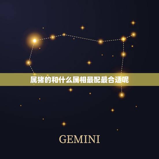 属猪的和什么属相最配最合适呢，猪和什么属相最配