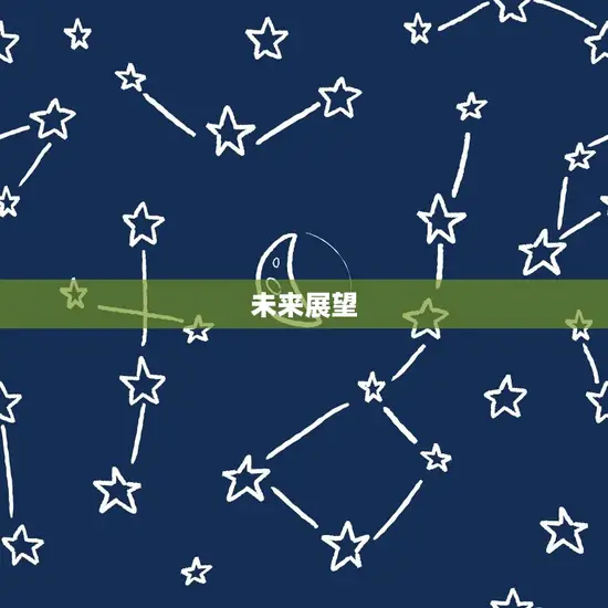 未来展望