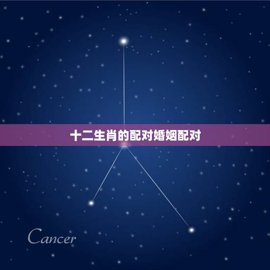 十二生肖的配对婚姻配对，十二生肖配对婚姻准吗？