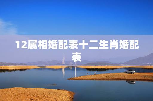 12属相婚配表十二生肖婚配表,十二生肖配对顺口溜 12属相婚配表十二生肖婚配表,十二生肖配对顺口溜