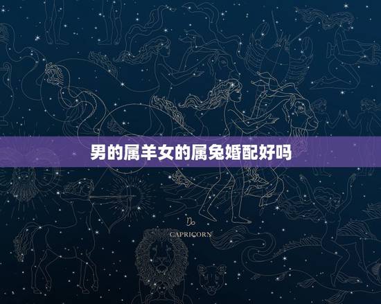 男的属羊女的属兔婚配好吗,属兔的男的和属羊的女的怎么样 男的属羊女的属兔婚配好吗,属兔的男的和属羊的女的怎么样