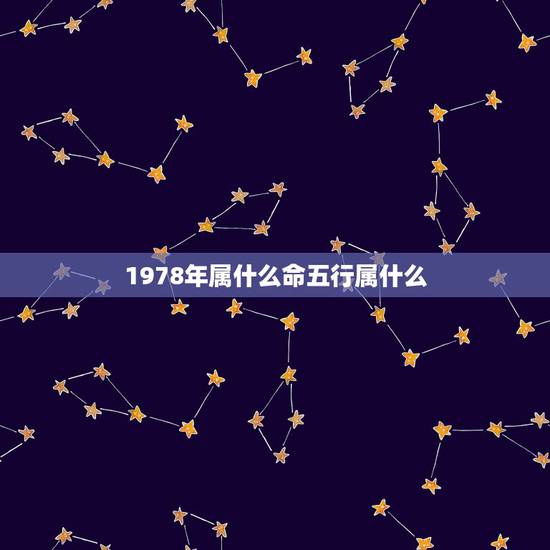 1978年属什么命五行属什么,78年五行属什么 是什么命 1978年属什么命五行属什么,78年五行属什么 是什么命