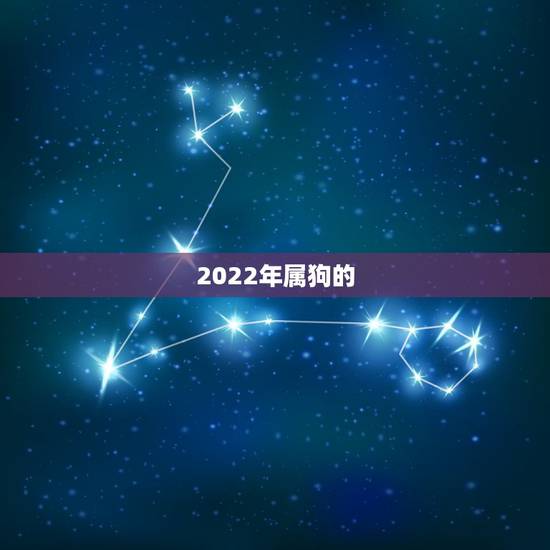 2022年属狗的,1982年狗在2022年的运势 2022年属狗的,1982年狗在2022年的运势