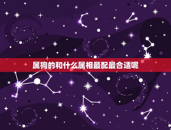 属狗的和什么属相最配最合适呢,属狗女几月出生命更好 属狗的和什么属相最配最合适呢,属狗女几月出生命更好