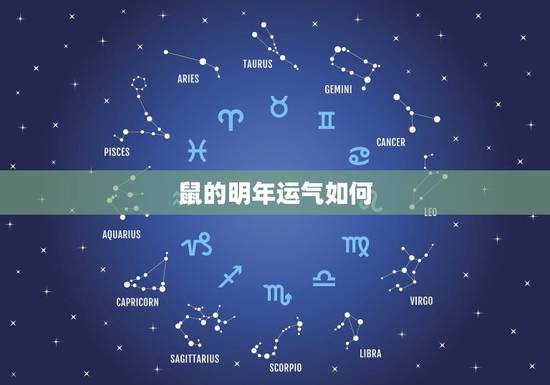 鼠的明年运气如何,属鼠的今年运势怎么样2022 鼠的明年运气如何,属鼠的今年运势怎么样2022