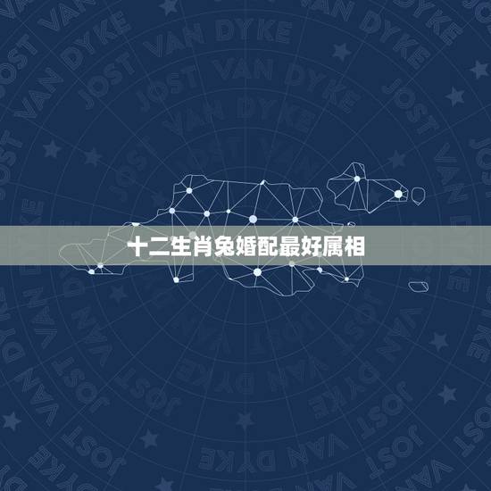 十二生肖兔婚配最好属相，属兔的属相婚配表