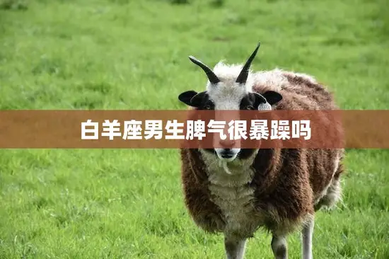 白羊座男生脾气很暴躁吗(揭秘星座真相)