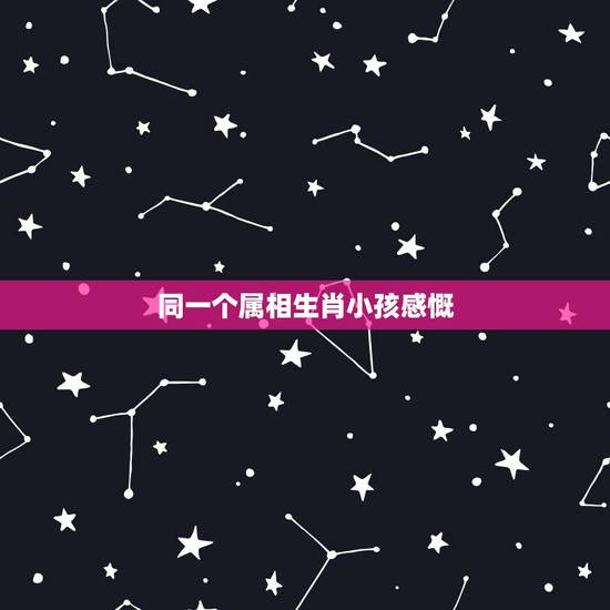 同一个属相生肖小孩感慨,如果生一个跟自己生肖相克的孩子会怎么样? 同一个属相生肖小孩感慨,如果生一个跟自己生肖相克的孩子会怎么样?