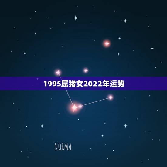 1995属猪女2022年运势,2022年属猪人的全年运势 1995属猪女2022年运势,2022年属猪人的全年运势